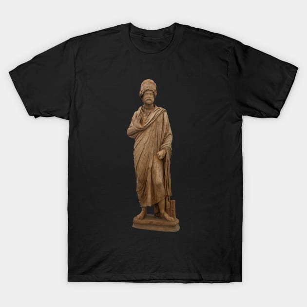 Antonius Claudius Dometeinos Bouleuterion of Aphrodisias T-Shirt by taiche